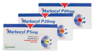 Marbocyl_p_n