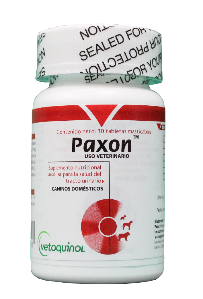 pueden los perros tomar pastillas de arándano para la uti